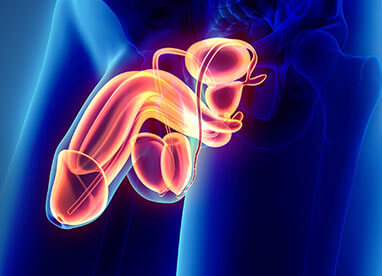 Reversão de vasectomia - Dr. Lucas Fraga
